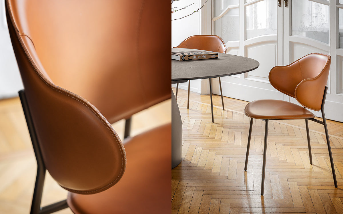 Calligaris Holly CS2037 dining armchair, room setting