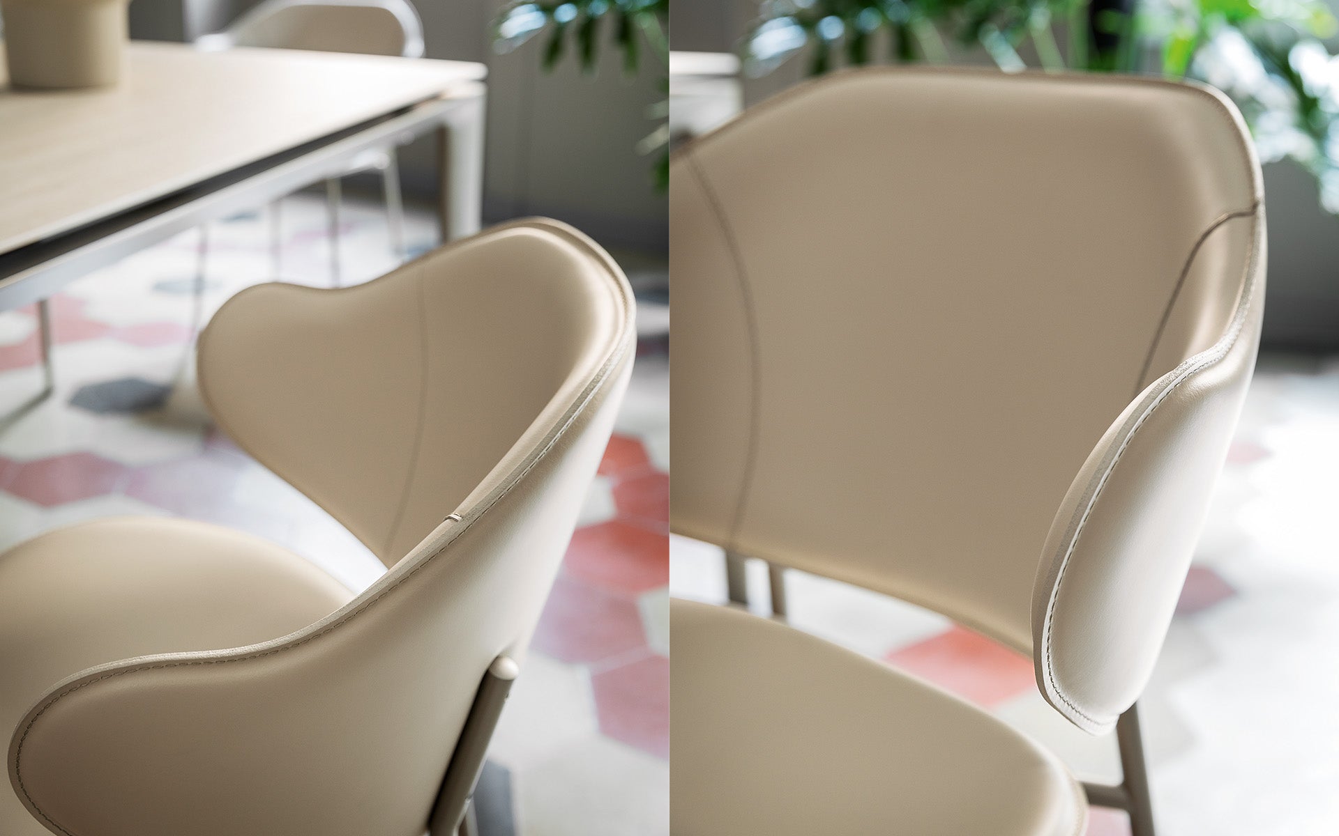 Calligaris Holly CS2037 dining armchair, room setting