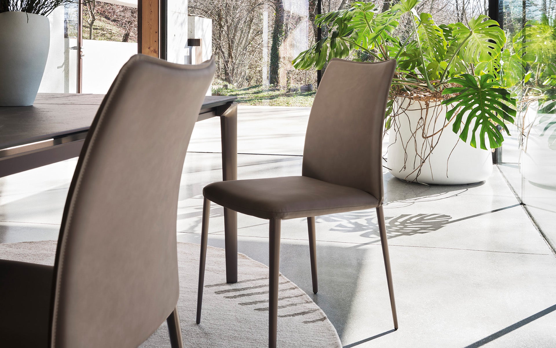 Calligaris Fay CS2249 dining chair, room setting