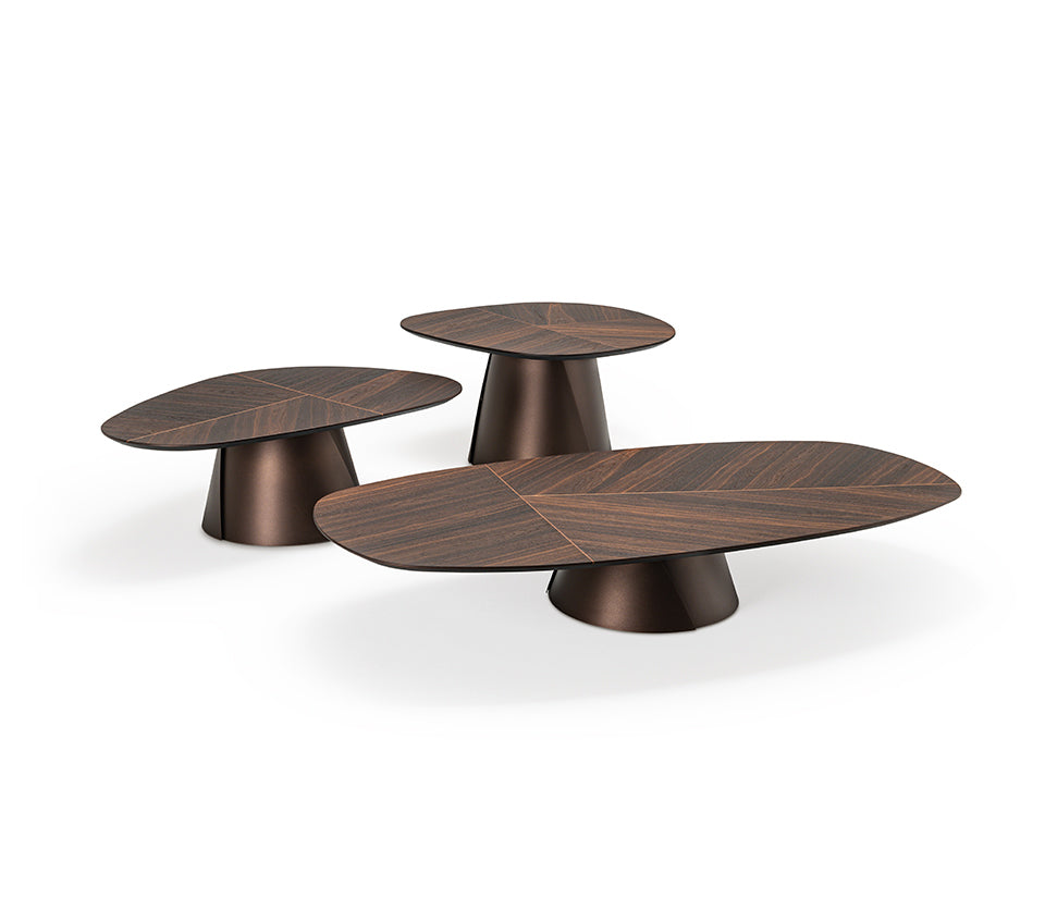 Adrian Wood coffee table - Cattelan Italia